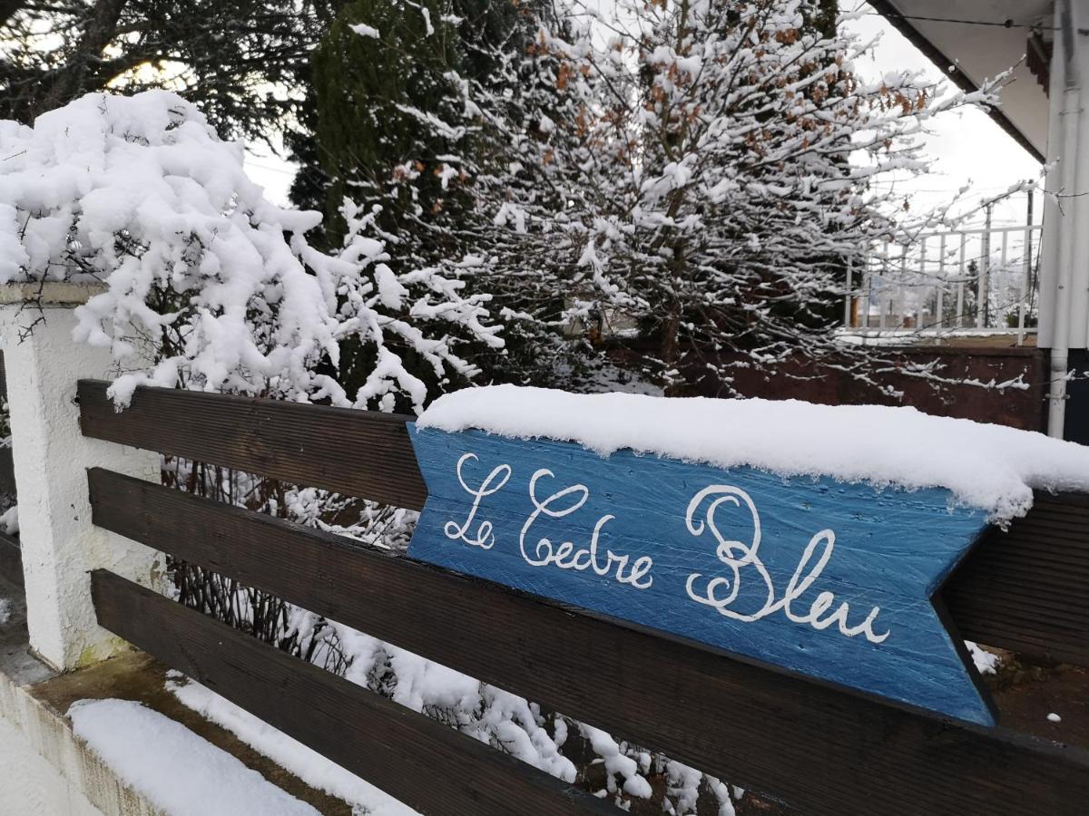 Hotel Le Cedre Bleu Saint-Michel-sur-Meurthe Exteriér fotografie